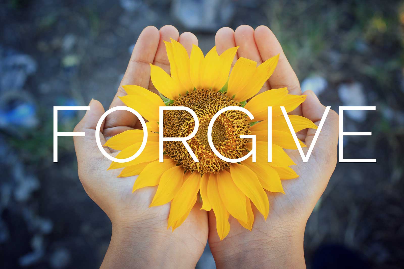 Why Forgiveness Is Important For Your Overall Health - Susan Cachay ...