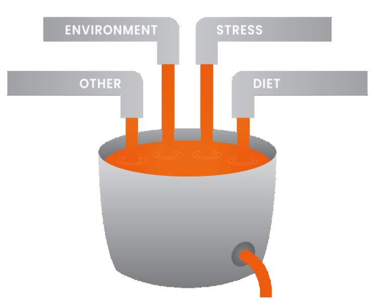 bucket analogy diagram