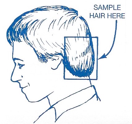 hair sample example